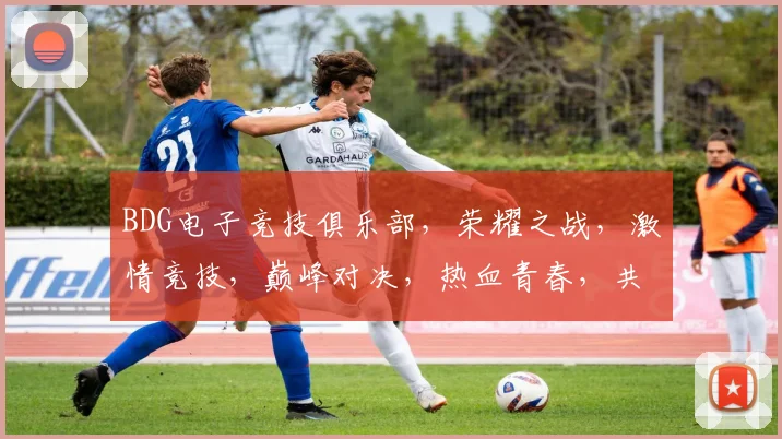 BDG电子竞技俱乐部，荣耀之战，激情竞技，巅峰对决，热血青春，共筑电竞传奇