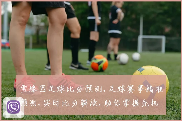 雪缘园足球比分预测,足球赛事精准预测,实时比分解读,助你掌握先机,一触即发