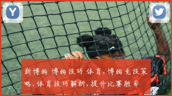 新博狗 博狗技巧 体育,博狗竞技策略,体育技巧解析,提升比赛胜率