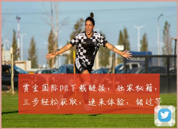 赏金国际pg下载链接，独家秘籍，三步轻松获取，速来体验，错过等一年，必看