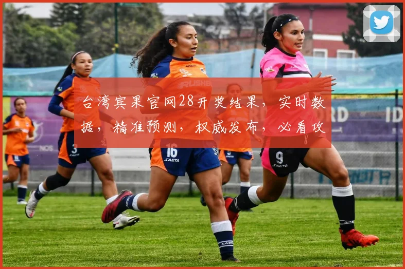台湾宾果官网28开奖结果，实时数据，精准预测，权威发布，必看攻略